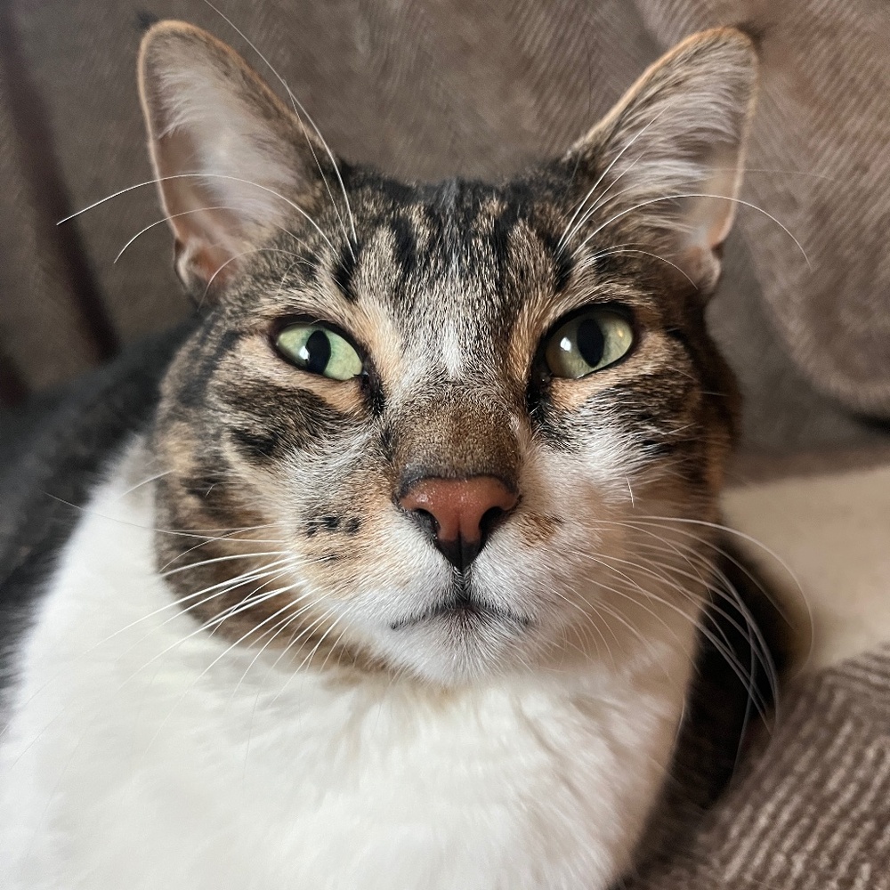 Meet your Posher, Greta